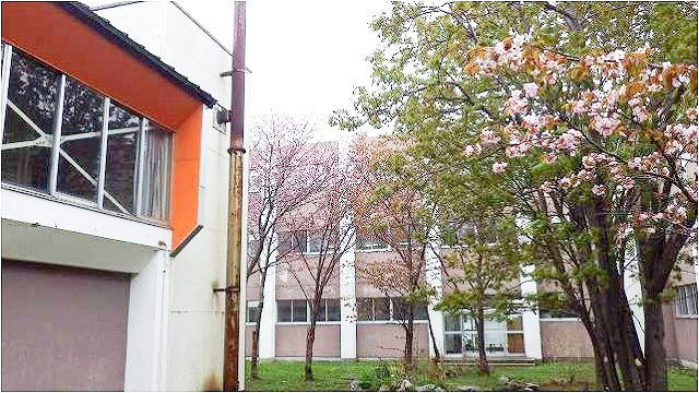 稚内市立稚内南小学校3