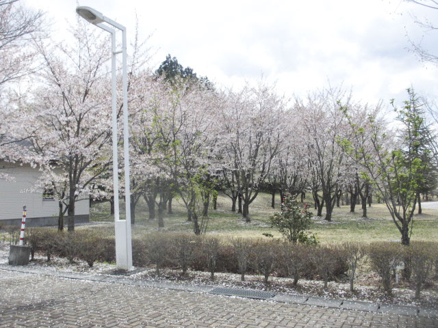 大川ふるさと公園1