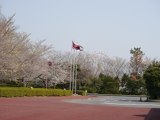 自動車安全運転センター1