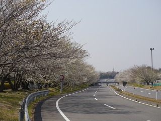 自動車安全運転センター12