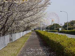 自動車安全運転センター21