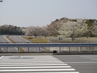 自動車安全運転センター23