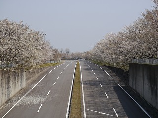 自動車安全運転センター24