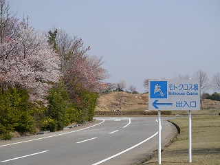 自動車安全運転センター26