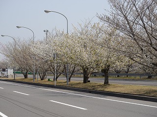 自動車安全運転センター27