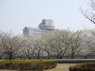 自動車安全運転センター29