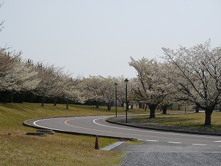 自動車安全運転センター34