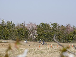 自動車安全運転センター38