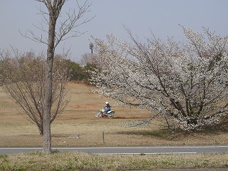 自動車安全運転センター40