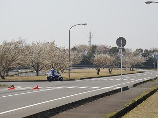 自動車安全運転センター41