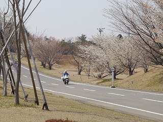 自動車安全運転センター42