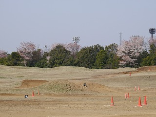 自動車安全運転センター47