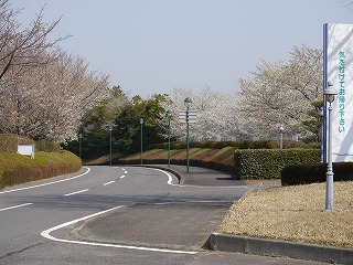 自動車安全運転センター5