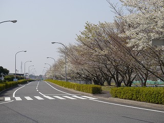 自動車安全運転センター8