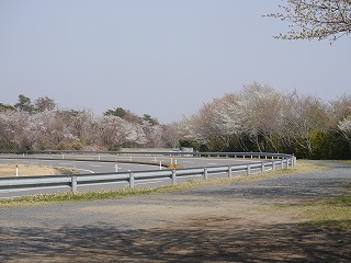 自動車安全運転センター9