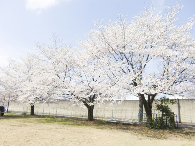 川越少年刑務所7