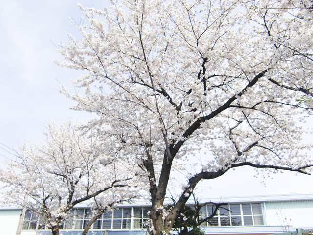 八潮市立 柳之宮小学校10