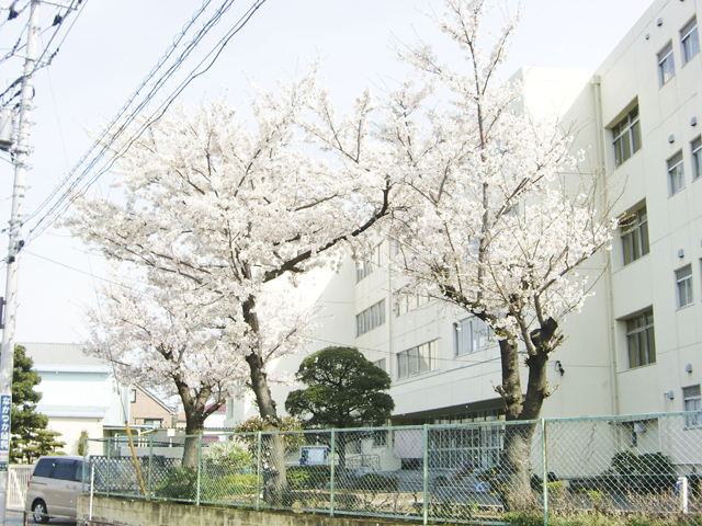 八潮市立 柳之宮小学校2