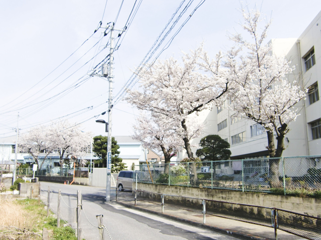 八潮市立 柳之宮小学校3