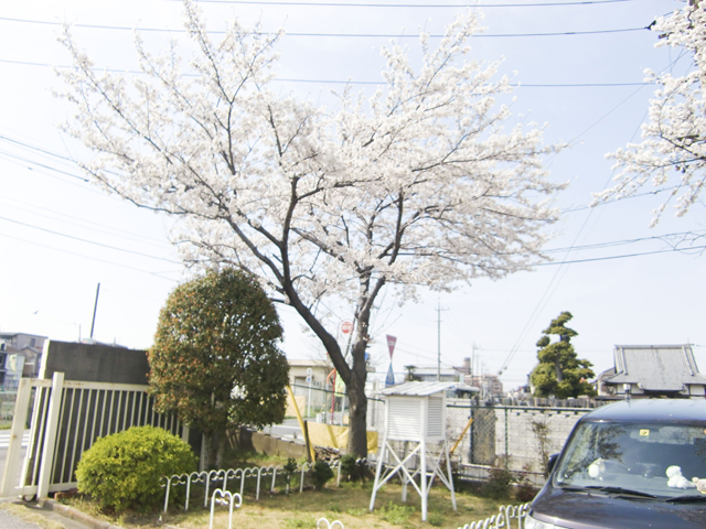 八潮市立 柳之宮小学校5