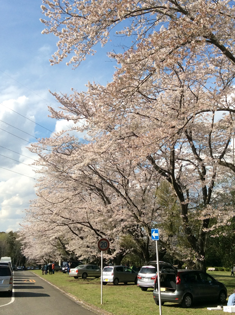 千葉平和公園（公営墓地）2