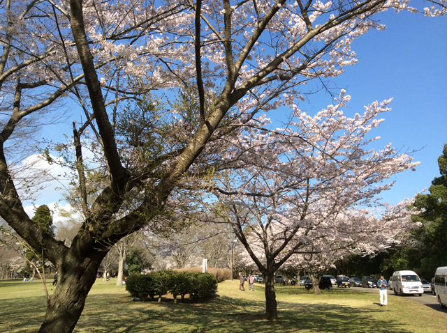 千葉平和公園（公営墓地）3