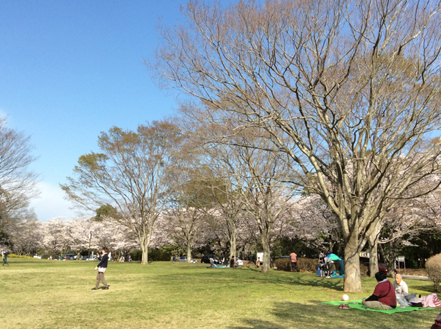 千葉平和公園（公営墓地）4