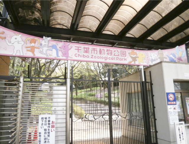 千葉市動物公園1