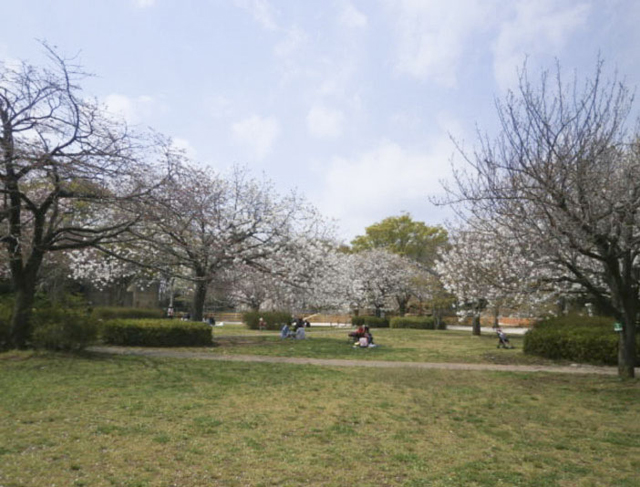 千葉市動物公園2