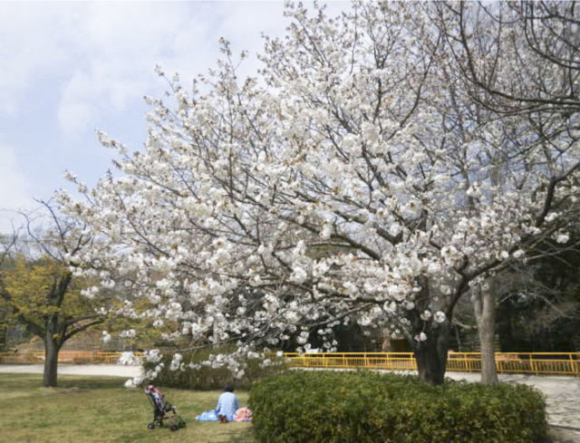 千葉市動物公園3