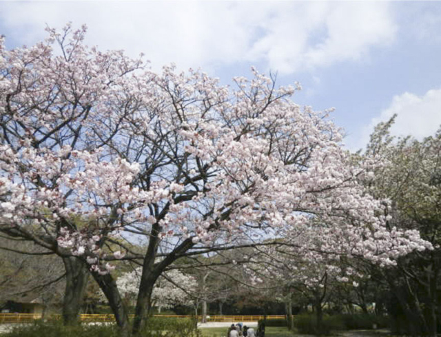 千葉市動物公園5