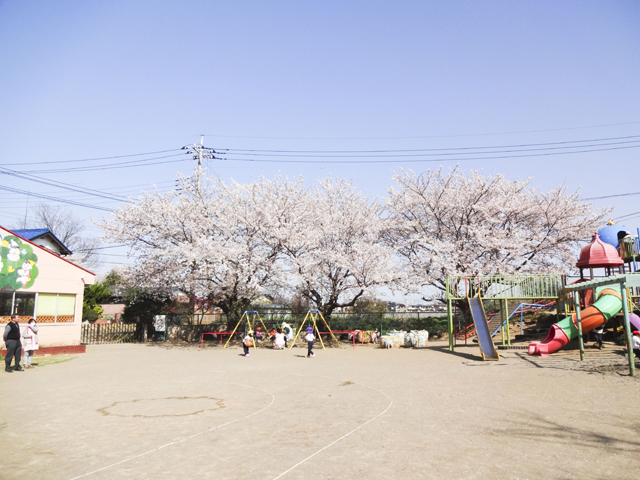 バンビ幼稚園2