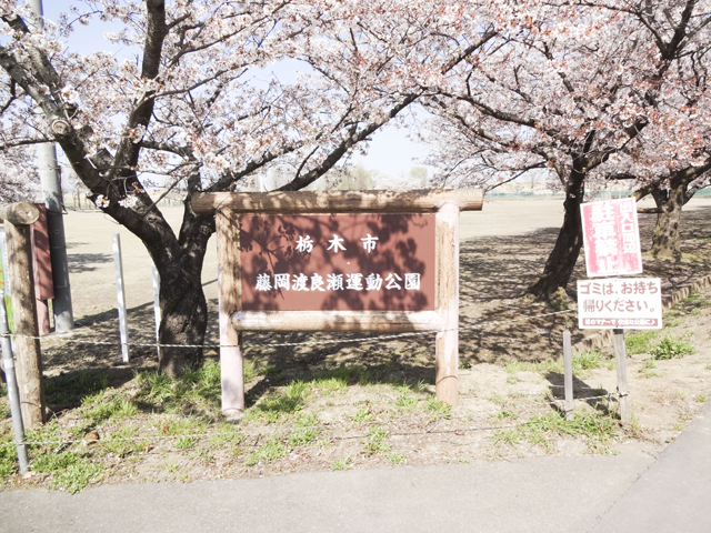 渡良瀬運動公園1