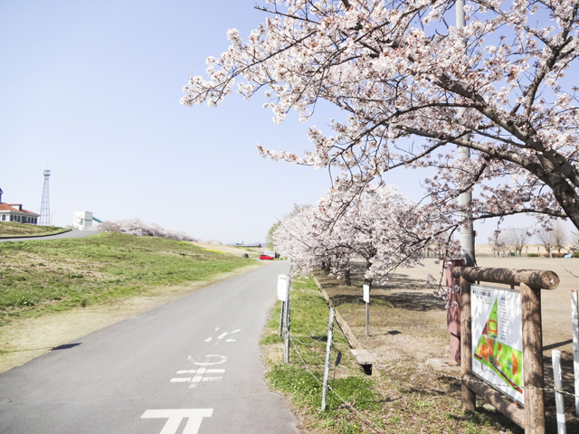 渡良瀬運動公園2