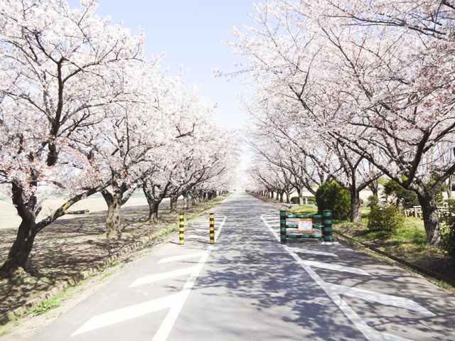 渡良瀬運動公園3