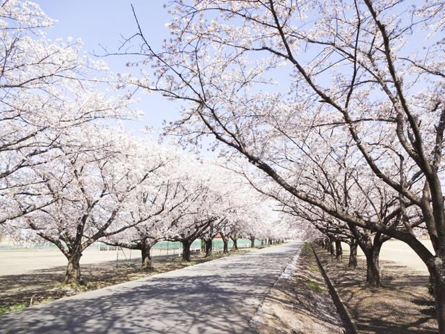 渡良瀬運動公園5