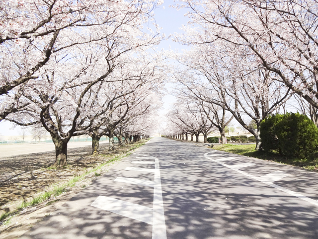 渡良瀬運動公園8