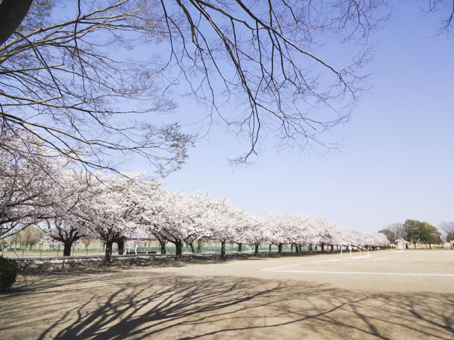 渡良瀬運動公園9