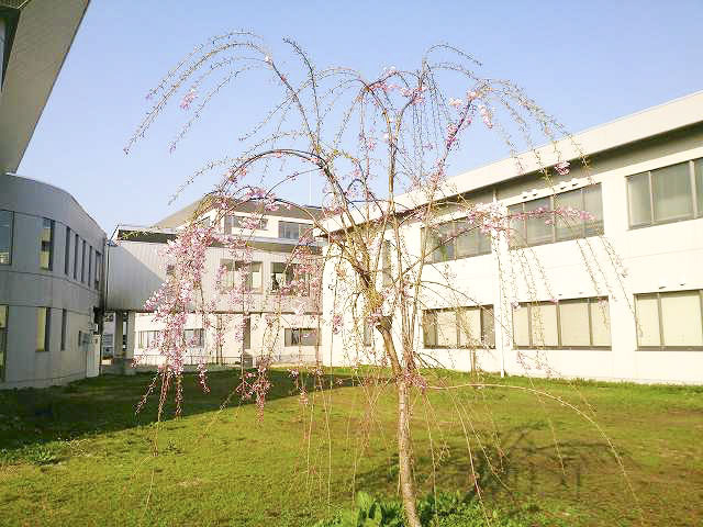 北里大学保健衛生専門学院2