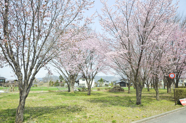 かじかの里公園1