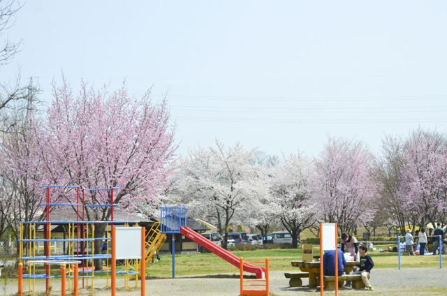 かじかの里公園3