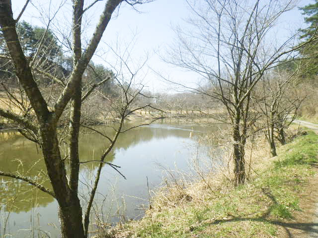 四賀村ビューティフルパーク（菅ノ田公園）5