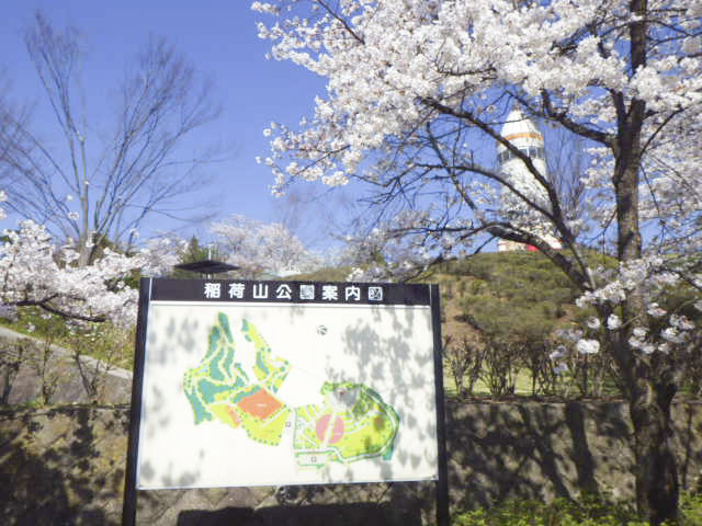 稲荷山公園1