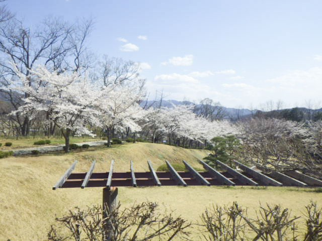 稲荷山公園2