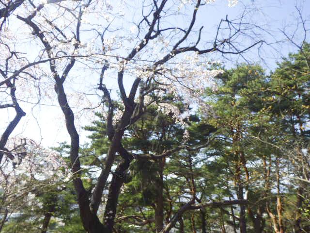 稲荷山公園3