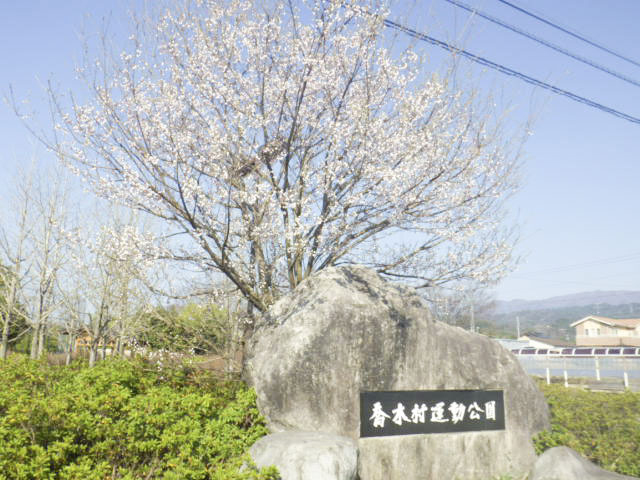 喬木村運動公園2