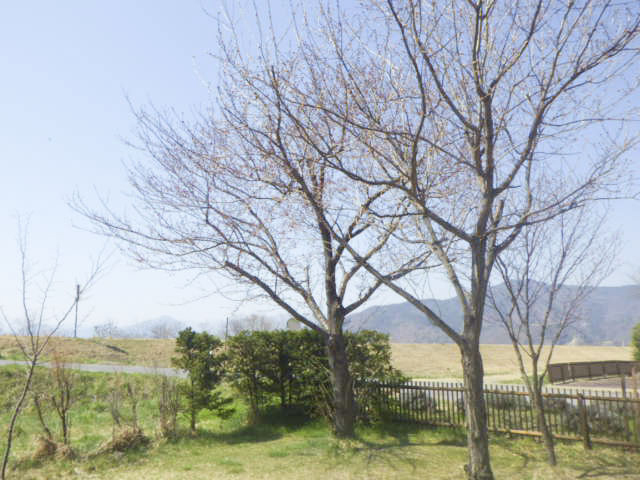 清浄園庭庭園・下水浄化センター2