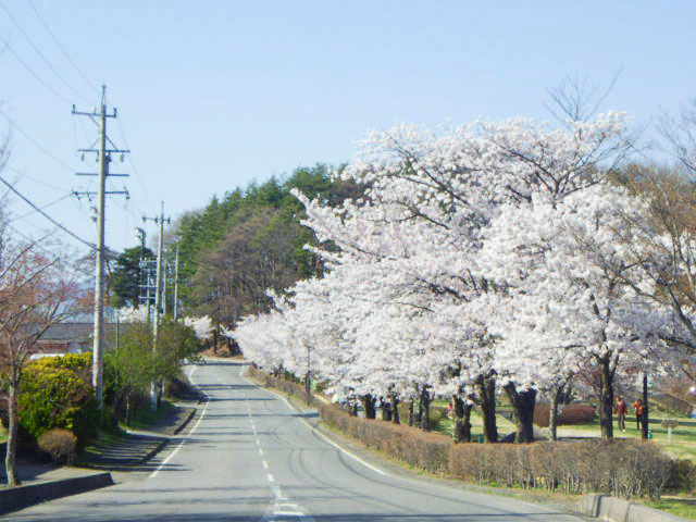 立科町権現山運動公園2