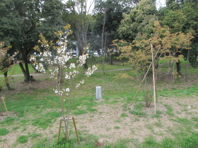 京都大学 宇治キャンパス2