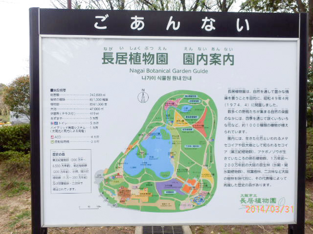 大阪市立 長居植物園11